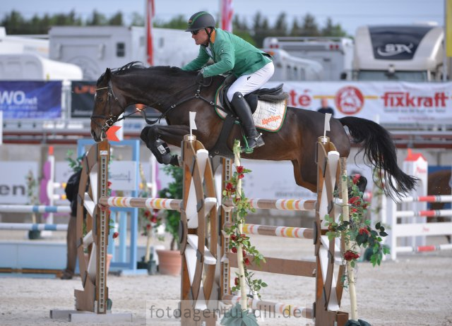 Die Crawford-Tochter Bea 77 ging im LM der sechsjährigen Pferde als Siegrin vom Platz. © Fotoagentur Dill – www.fotoagentur-dill.de