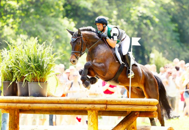 Zum vierten Wiesbaden-Sieg ritt Michael Jung im vergangenen Jahr, dieses Jahr könnte ihn eine junge Dame auf Platz zwei verweisen. © WRFC/Toffi