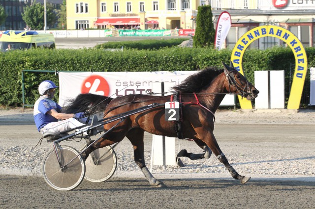 Orange Venus bei ihrem Sieg mit Ari Kaarlenkaski am 16. Mai 2015 © www.pferderennfoto.at