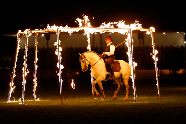 Feuer und Licht waren zentrale Themen beim 20. Geburtstag der Wiesbadener Pferdenacht. © WRFC/Toffi