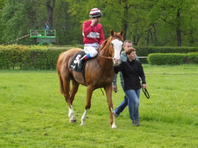 Der zweitplatzierte Burschentanz mit Alexander Pietsch auf dem Weg zum Absatteln. © Nadja Naumann 