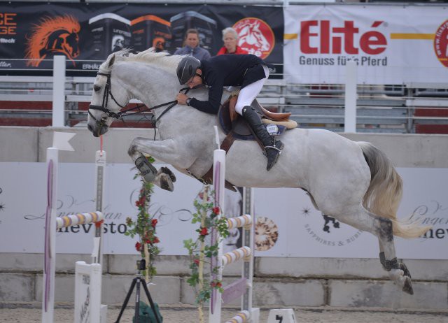 Platz drei der 1. Abteilung sicherte sich Franz Josef Rainer (K) mit seinem Irischen Sportpferd Knockanree Diamond. © Fotoagentur Dill – www.fotoagentur-dill.de