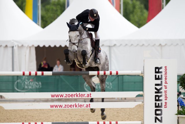 Das beste Nachwuchspferd war heute eindeutig Clarinius unter Frank Schuttert (NED). © Tomas Holcbecher