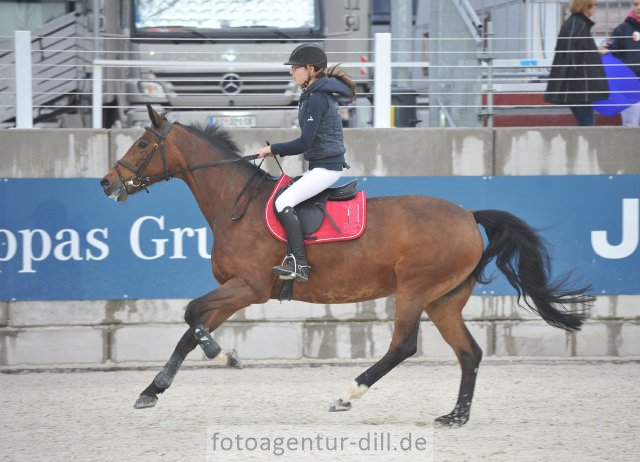 SpitzPia_LucyLee_12_2.QualiHappyHorse_L_115cm_CasinoGPLhausen