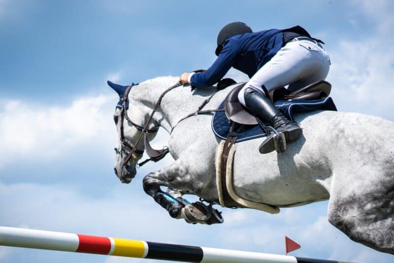 Seit September 2023 ist in Italien das Pferd als Athlet den Reiter:innen gleichgestellt. © Adobe Stock