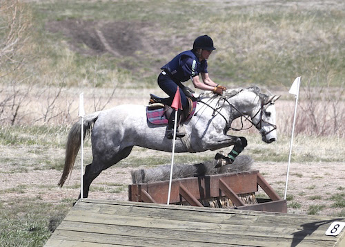 Eventing at CHP. © Cristy Cumberworth 