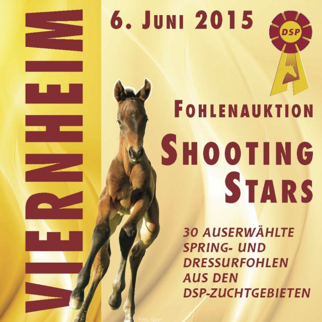 Fohlenauktion_ShootingStars