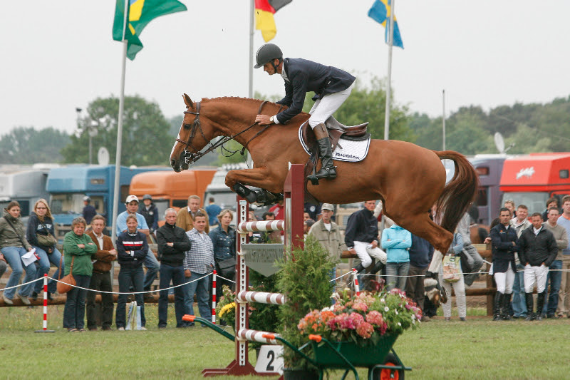 Im Sport ging Hym d`Isigny hocherfolgreich unter Frankreichs Eric Navet, der von dem Selle Francais-Hengst geradezu schwärmt. © Dirk Caremans