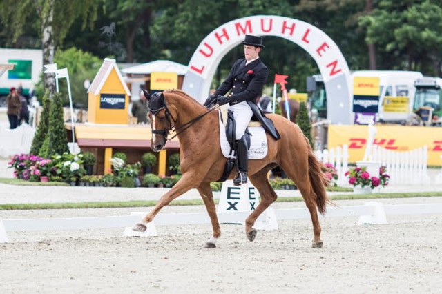 Julien Despontin und Waldano 36 führen nach der Dressur beim CCI4* Luhmühlen 2015. © Hanna Broms/FEI