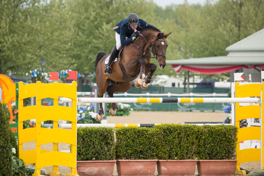 Max Kühner Sporthorses ist nun auch auf Facebook vertreten! © Michael Graf