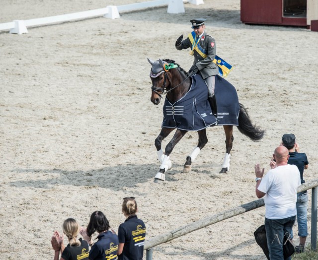 Manuel Radakovits auf seinem Lauries Crusador Son. © Gurhof