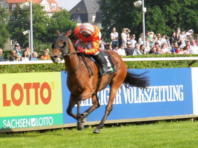 Ledena gewinnt unter Rene Piechulek sicher das 7. Rennen. © NNN