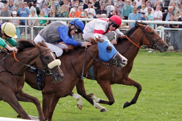 Lovelyn gewinnt im pferdewetten.de - Großer Hansa-Preis mit Jockey Andrasch Starke © Frank Sorge