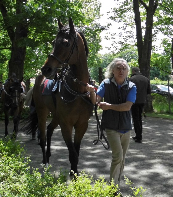 Meadow Dew und Peter Huber aus Österreich auf dem Weg zum 3. Rennen. © NNN