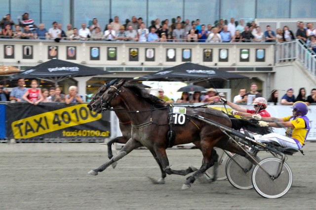 Paradis Wood B (10) hält mit Rudolf Haller die heranstürmende Lady Ford (Franz Konlechner) im 130. Österreichischen Traber-Derby mit Nasenlänge auf Distanz. © Eduard Risavy/www.pferderennfoto.at