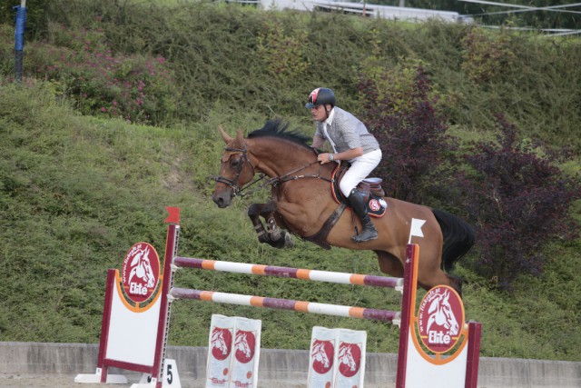 Oberösterreichs Matthias Raisch siegte mit seiner Zypria in der Klass M © Brunnmayr Fotografie & Design