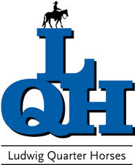 Schwantelhof_Logo