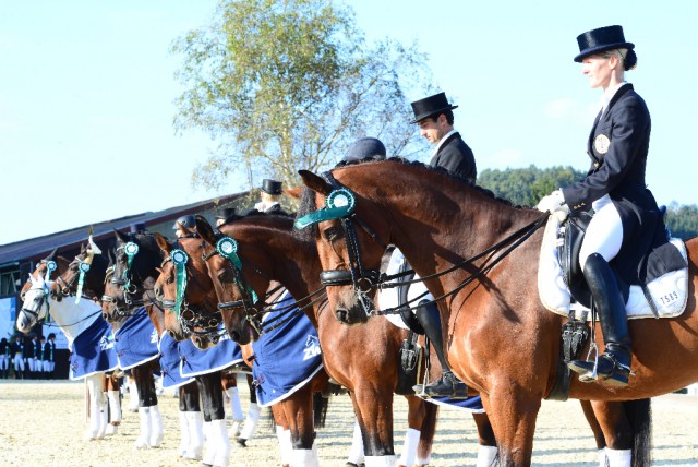 Siegerehrung 2014 der steirischen LandesmeisterInnnen der Dressur © Istvan Lehoczky