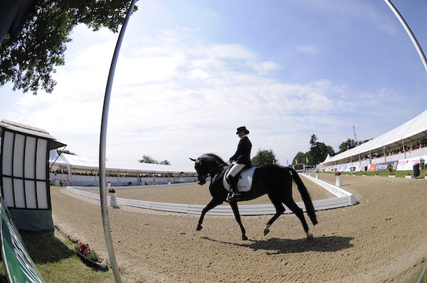 So wie die fünf- und sechs Jahre alten Dressurpferde, treten in diesem Jahr auch fünf- und sechs Jahre alte Dressurponys erstmals in Verden zum International Dressage Cup an. © Karl-Heinz Frieler