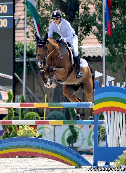 Caruso Enrico ist für Stefan Eder ein zukünftiges Spitzenpferd! © CSIO Budapest