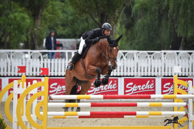 Roland Englbrecht (OÖ) hat auf Bonaparte 115 den Sieg fest im Blick © sIBIL sLEJKO