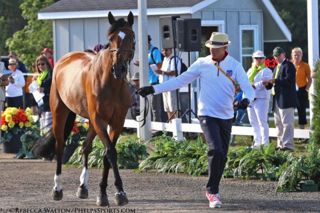 Esprit De Vie and Freddie Vazquez at the Pan American Games Show Jumping Inspection © Rebecca Walton / Phelps Media Group