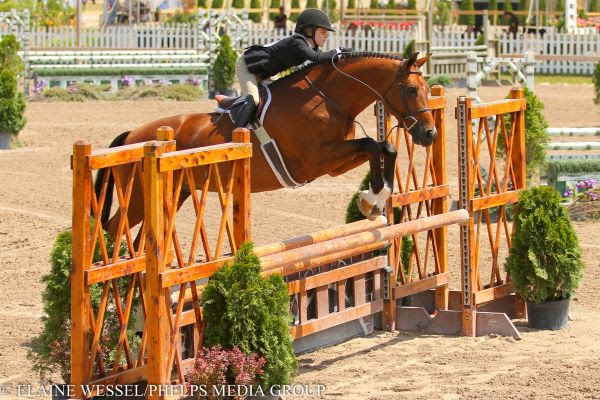 Sophie Gochman and World Time took the lead in the Junior 3'3" Hunters at the Great Lakes Equestrian Festival. © Elaine Wessel