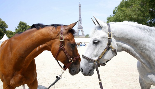 Bonjour! Hello Sanctos und Carlos begrüßen sich in Paris. © Stefano Grasso / LGCT