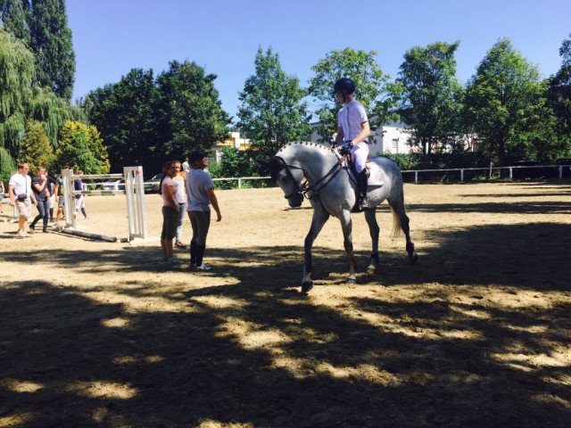 Warm-Up zur Meisterschaft: Max und Chardonnay am Linzer Abreiteplatz. © MK Sporthorses