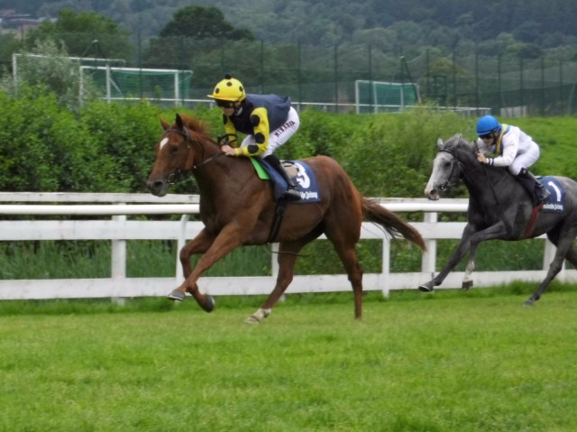 Liverbird mit Filip Minarik gewinnt vor Mandino mit Jozef Bojko das 1. Rennen. © Nadja N. Naumann