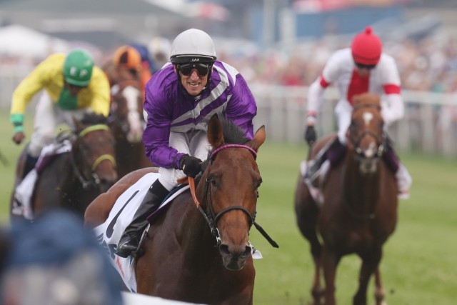 Sieger im IDEE 146. Deutschen Derby - Nutan mit Jockey Andrasch Starke © Frank Sorge