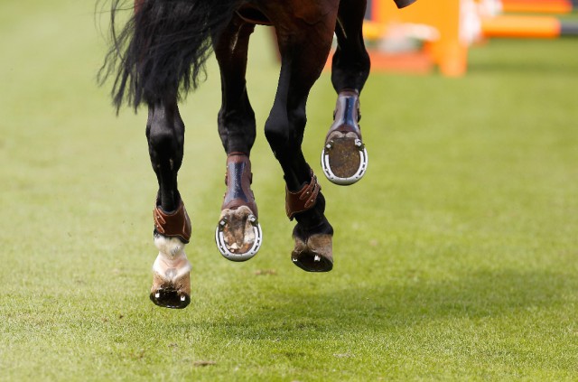 Für eine noch intensivere Pflege des Rasenplatzes ist heuer gesorgt! © www.sportfotos-lafrentz.de