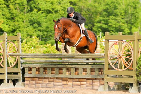 Peter Pletcher and Q won the Second Year Green Working Hunters at the Great Lakes Equestrian Festival. © Elaine Wessel