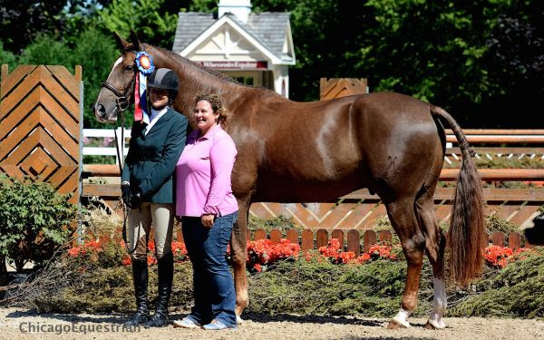 Rachel Johnson and For Adventure © Chicago Equestrian