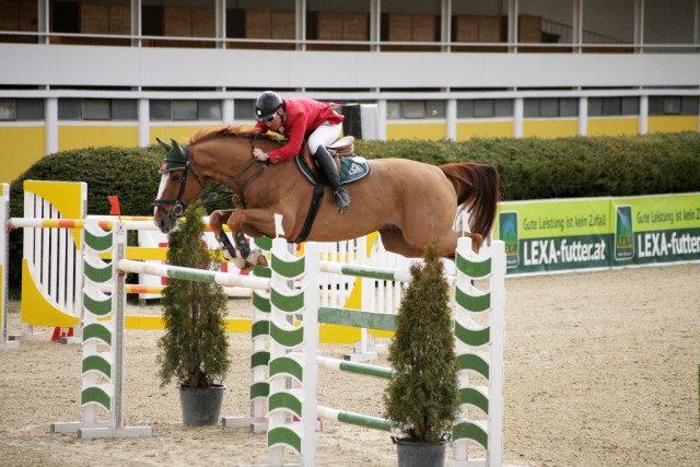 Der amtierende OÖ Landesmeister möchte in Linz seinen Titel verteidigen © Linzer Pferdefestival