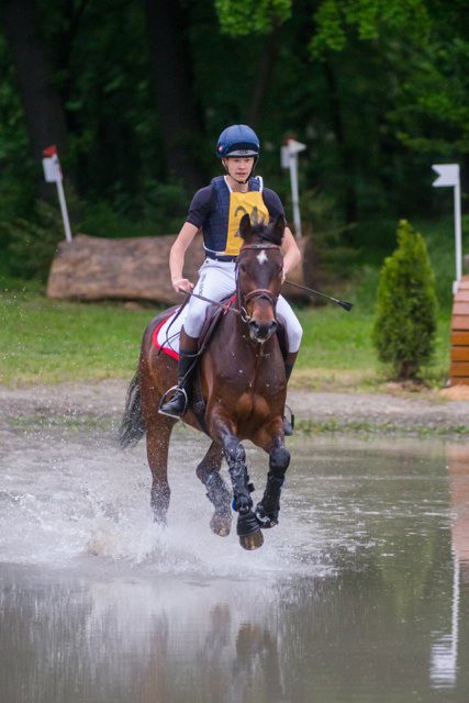 Michael Spörk kürte sich auf Franz Joseph K zum steirischen Vielseitigkeits Landesmeister der Jungen Reiter © Archiv - Michael Graf