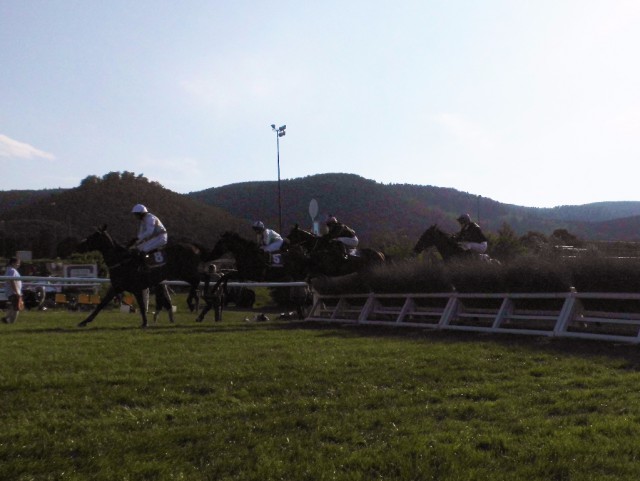 Tinkers Lane mit T.J. Phelan führt vor dem späteren Sieger Nuevo Leon mit V. Korytar im Hürdenrennen © Nadja N. Naumann