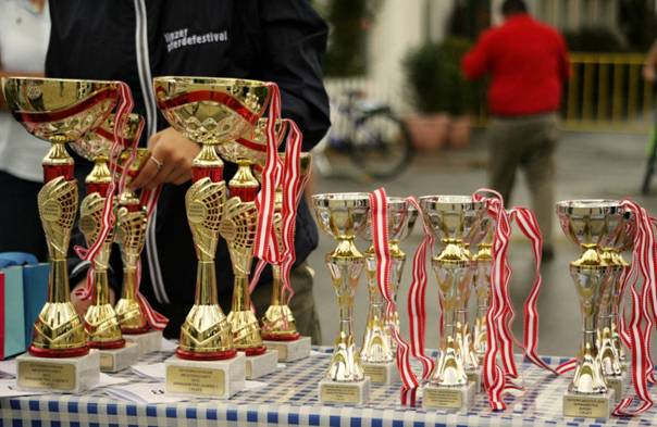 16 Österreichische und Oberösterreichische Meistertitel wurden vergeben © Linzer Pferdefestival