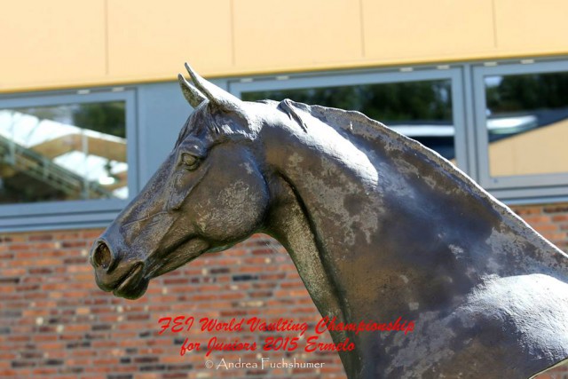 2015_EMJuniorenVoltigieren_Ermelo_Impression_cFuchshumerAndrea