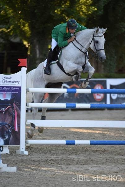 Höchste Konzentration bei Leonard Platzer (NÖ) und Bario van't Martendonkerf © sIBIL sLEJKO