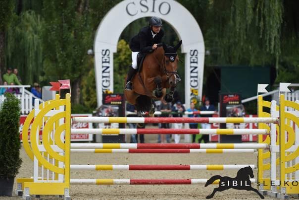 Der Oberösterreichische Landesmeister Roland Englbrecht und Bonaparte 115 © sIBIL sLEJKO