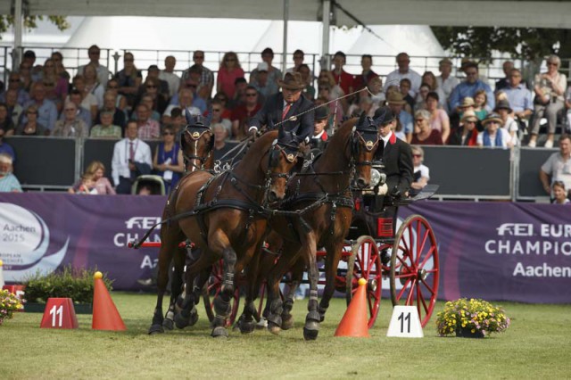 Brasseur Felix, (BEL), Amicello, Luxus Boy, Racciano, Sunfire Cones Competition FEI European Championships - Aachen 2015 © Hippo Foto - Dirk Caremans 21/08/15
