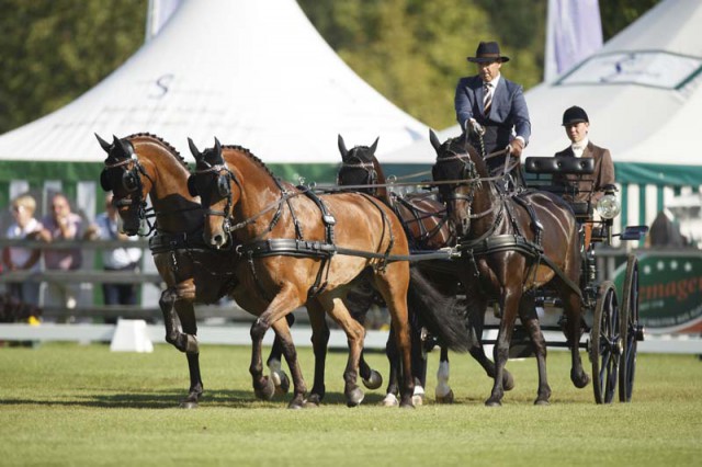 IJsbrand Chardon (NED) has won the dressage phase of the FEI European Driving Championships for Four-in-Hand 2015 in Aachen – all eyes are now on tomorrow’s second phase, the cones, before the European individual and team champions are crowned after the marathon stage on Saturday, 22 August. © FEI/Dirk Caremans