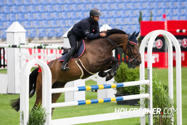 Mevisto Teamreiter Roland Englbrecht hat schon einige Championatserfahrung, sein Mevisto’s Poorboy hingegen noch keine. © Tomas Holcbecher