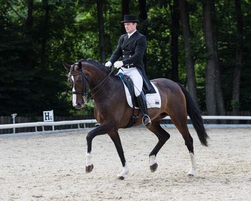 Niki Erdmann und Vienna A zeigten in Unterferlach, dass sie ein eingespieltes Team sind . © privat