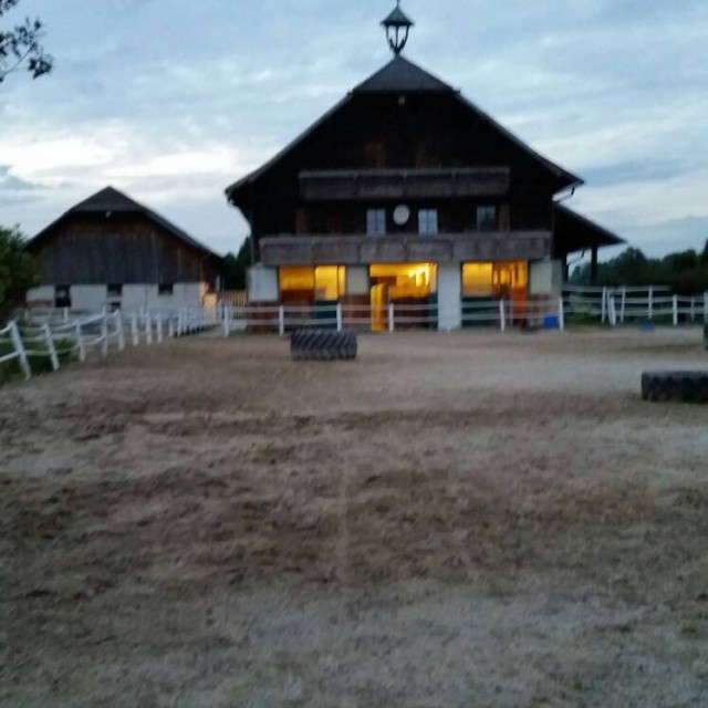 Die Happys Farm in Anif steht unter dem Verdacht der Tierquälerei. © facebook Happys Farm