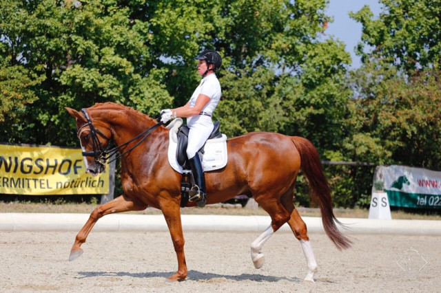 Angela Hergeth und Don Shiraz trotzten den tropischen Temperaturen und gaben ‚mit Marscherleichterung‘ ihr Bestes. © Team Transpofix