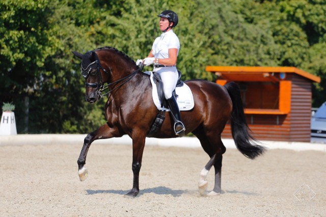 HergethAngela_Parcival_WienerNeudorf_cTeamTranspofix