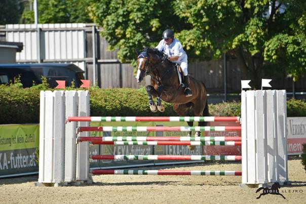 Hugo Simon und Freddy 7 führten den dreifach Erfolg an © sIBIL sLEJKO