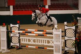 Jörne Sprehe © Linzer Pferdefestival (Archiv)